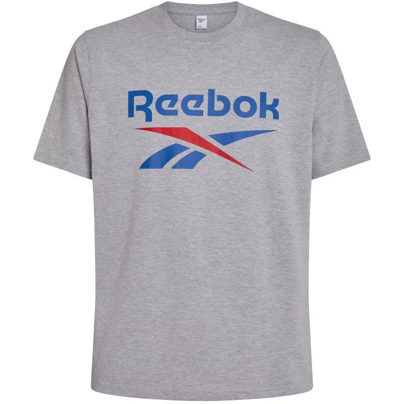 Camiseta manga corta REEBOK BIG LOGO gris claro 100240886