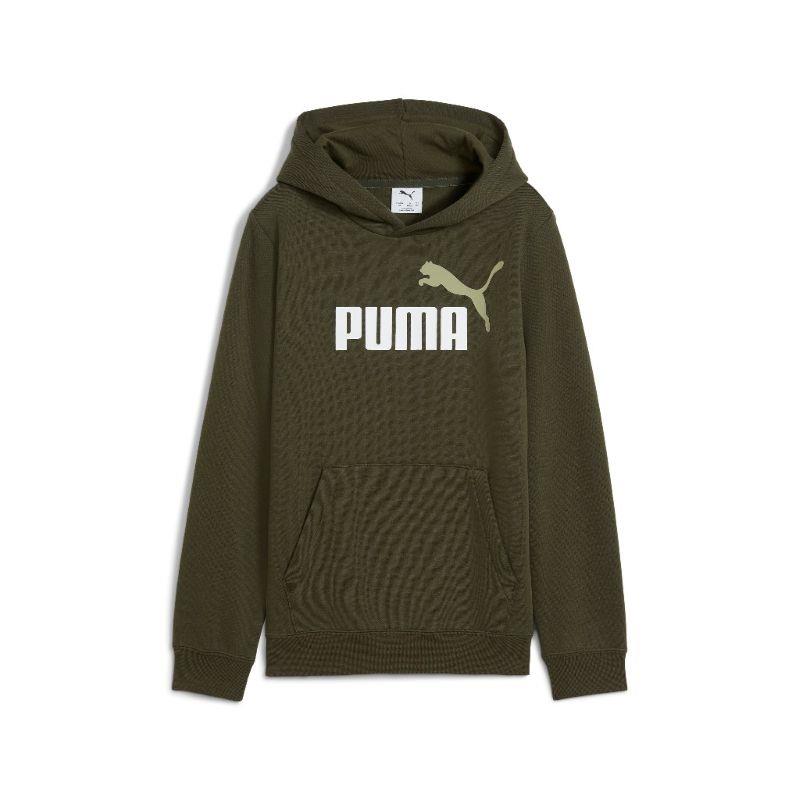 Sudadera con capucha para niño-a PUMA ESSENTIALS verde 685822-70