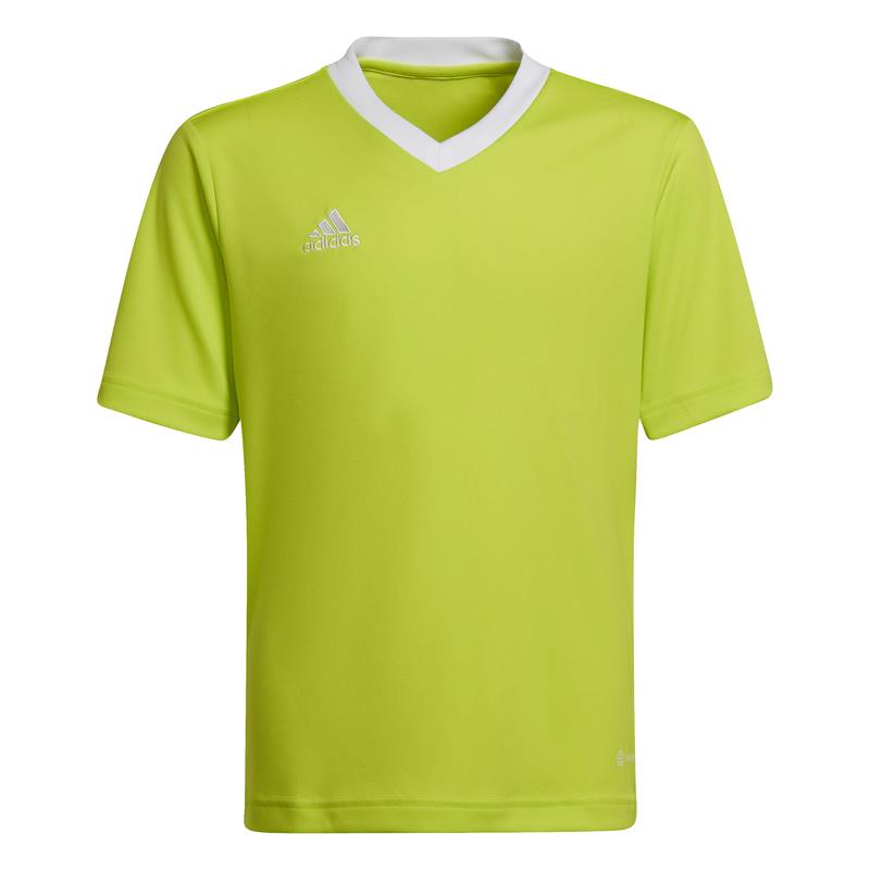 Camiseta de niño-a ADIDAS ENTRADA 22 verde pistacho HC5079