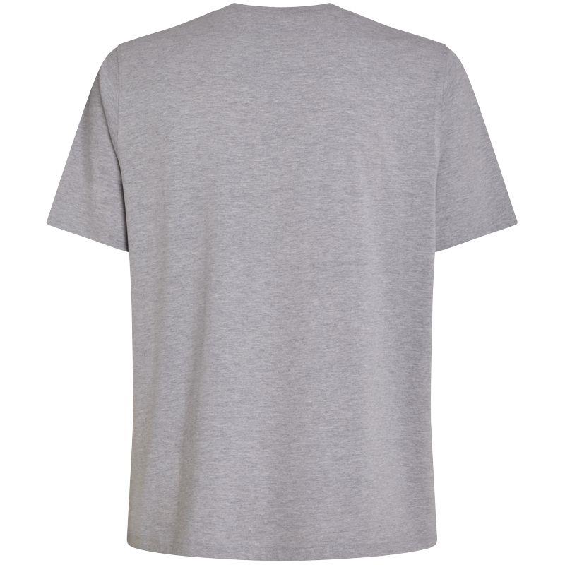 Camiseta manga corta REEBOK BIG LOGO gris claro