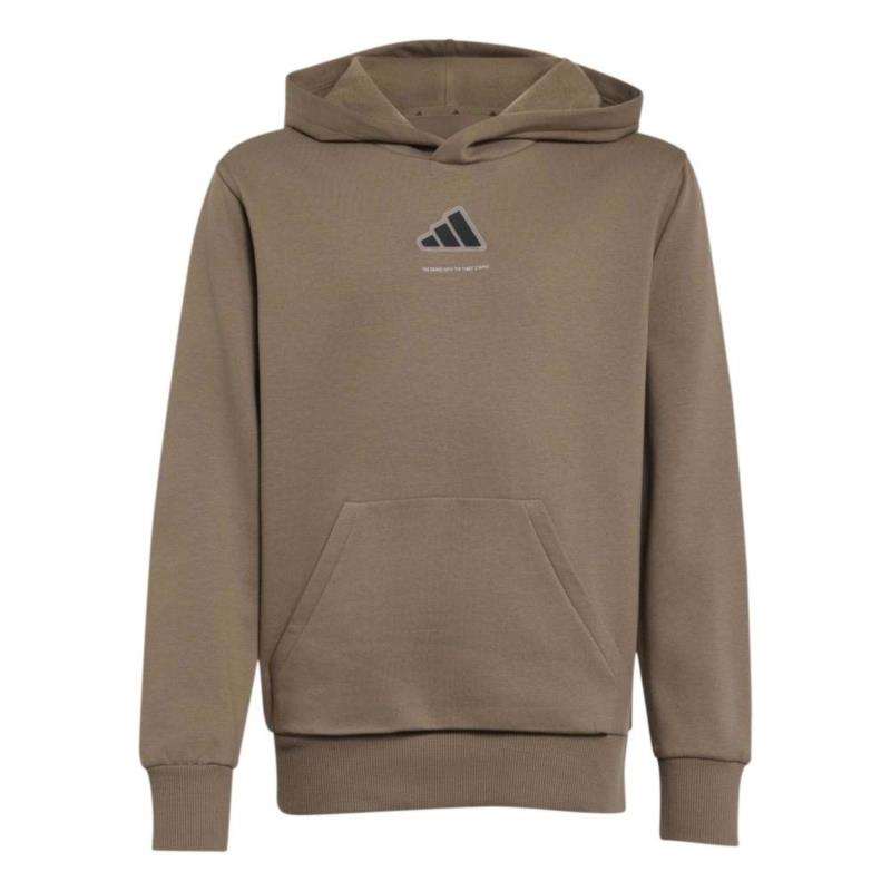 Sudadera con capucha para niño ADIDAS SLOGAN FLEECE beige oscuro KX2477