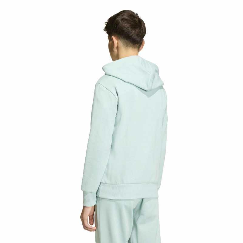 Sudadera con capucha para niño ADIDAS B FL HD J verde